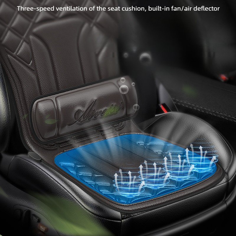 Multi-Function Car Massage Cus - đánh giá và giá Mesh Back Cushion