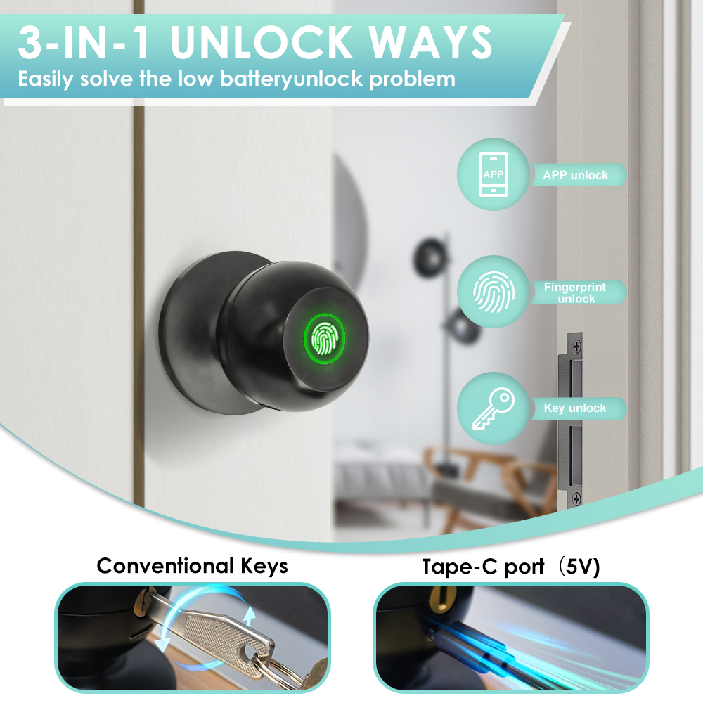 Tuya Electronic Door Lock Smar - đánh giá và giá Home Office Immigration